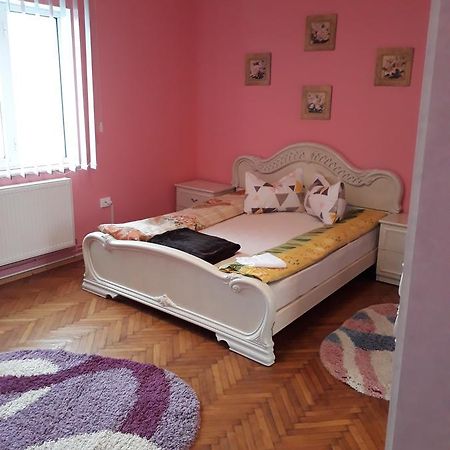Apartmán Casa Ade Călimăneşti Exteriér fotografie