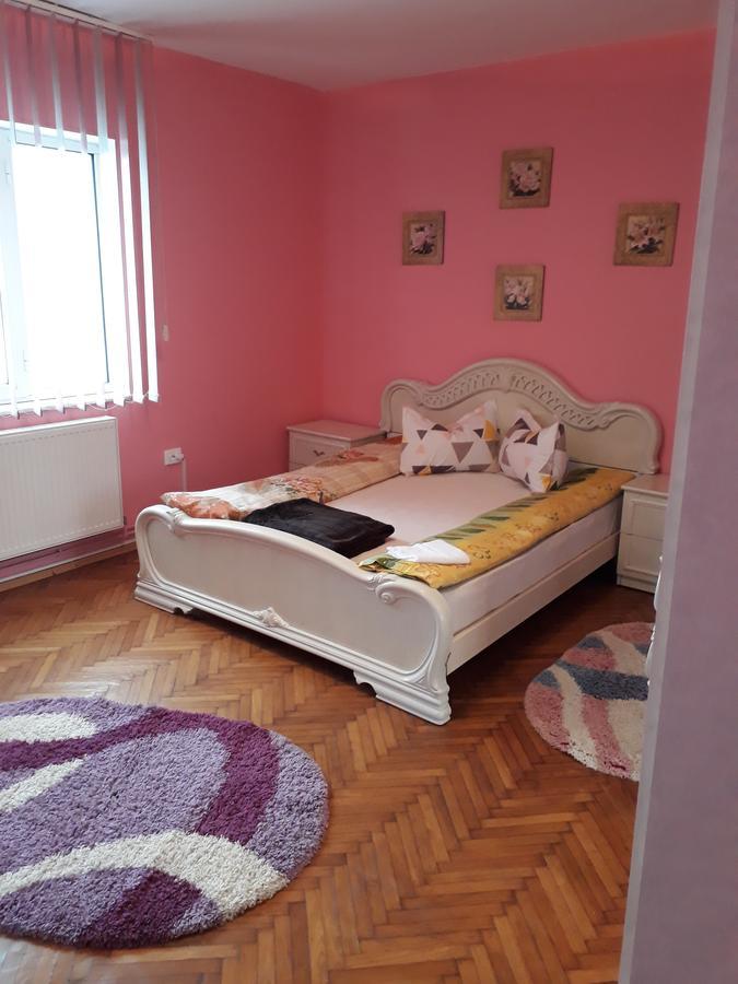 Apartmán Casa Ade Călimăneşti Exteriér fotografie