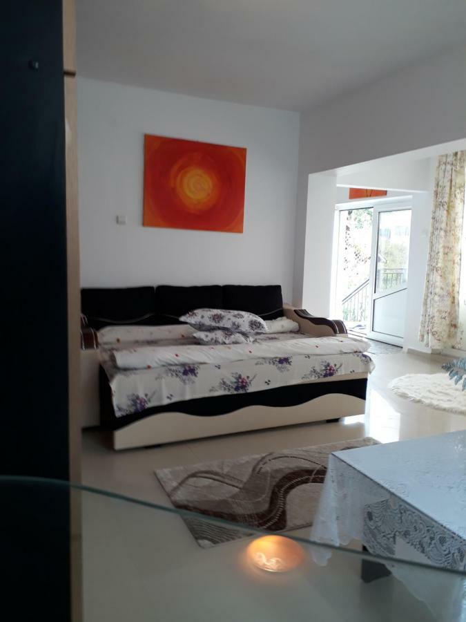 Apartmán Casa Ade Călimăneşti Exteriér fotografie